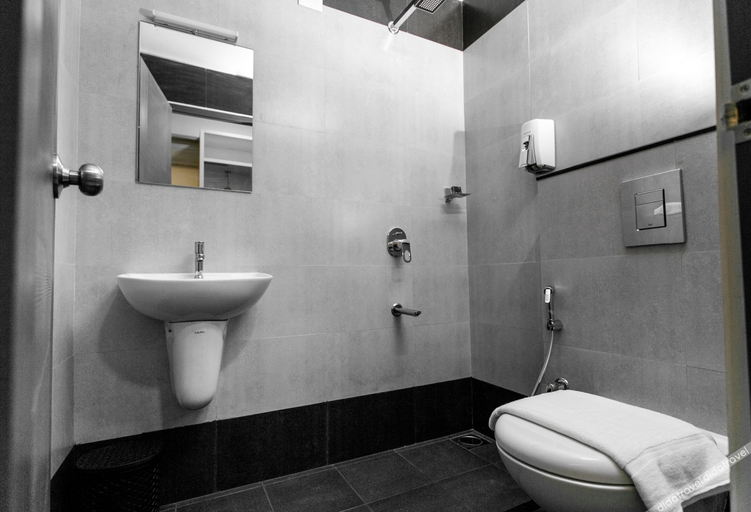 Bathroom 4, Sapphire Club Metro Hotel, Ernakulam