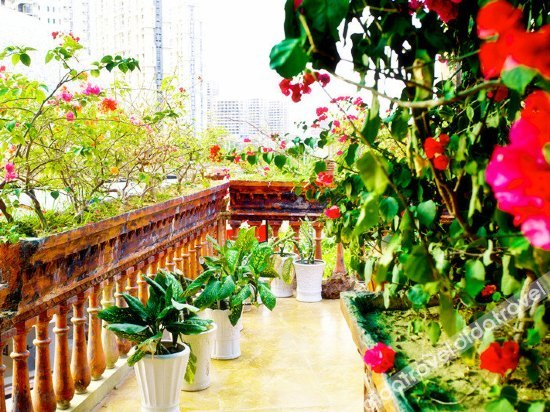 Others 2, Muqam Hotel, Sanya