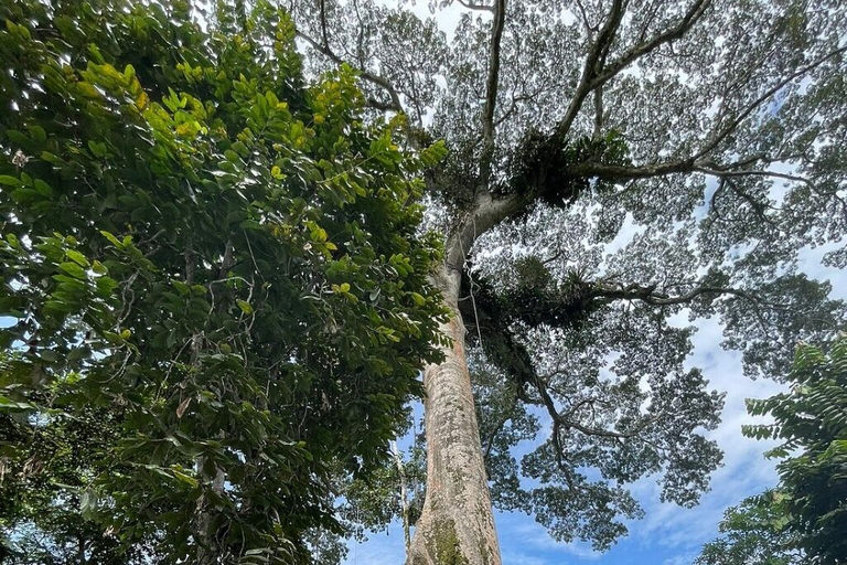 Miscellaneous 4, KingFisher Ecolodge, Tena