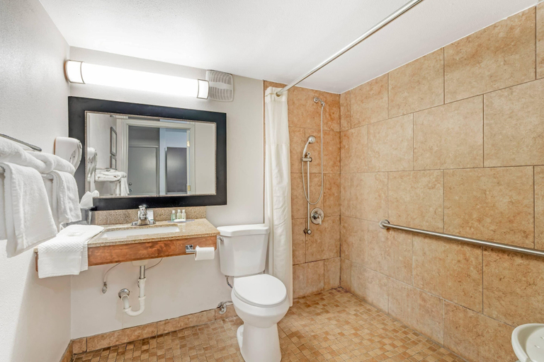 Bathroom 3, Quality Inn & Suites Chattanooga-East Ridge, Hamilton