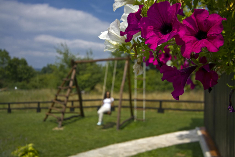 Others 5, Plitvica Luxury Etno Garden, Plitvička Jezera