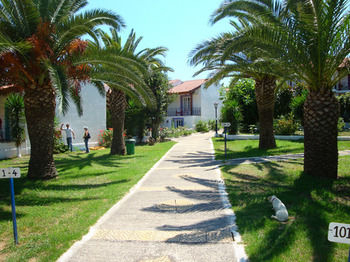 Others 5, Terra Mare Hotel, Ionian Islands