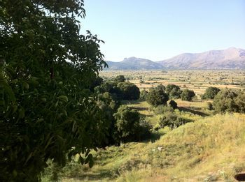 Others 3, Dionysus House Lasithi Plateau, Crete