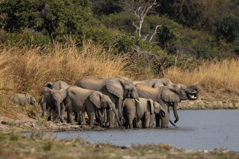 Game drive 3, Anantara Tented Camp Kafue River
