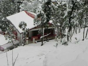 Others 2, Cottage Nirvana, Nainital