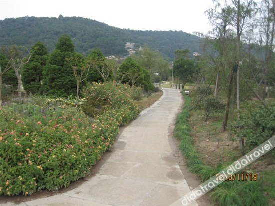 其他 4, Putuo Mount Pantuo Yuan, Zhoushan