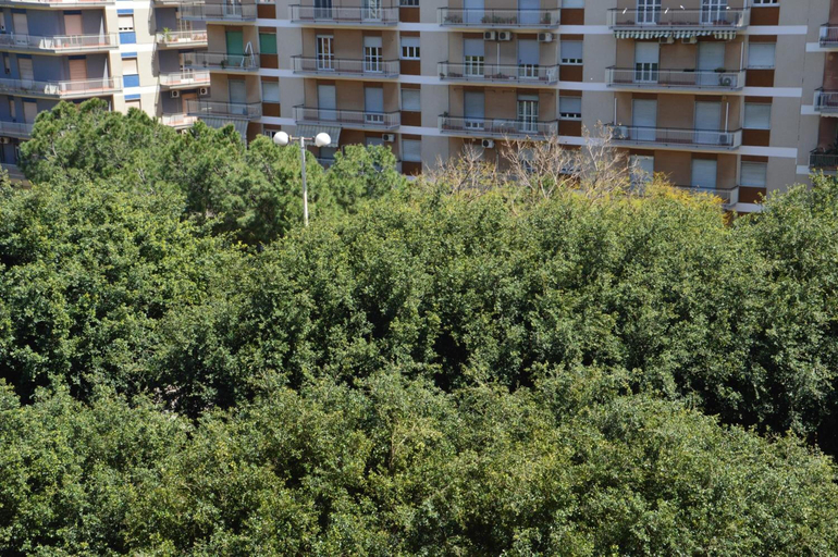 Exterior & Views, Michelangelo BB Rooms, Catania