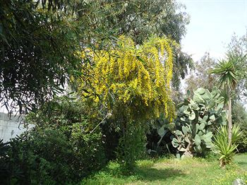 Property Grounds 5, Portokali Apartments, Crete