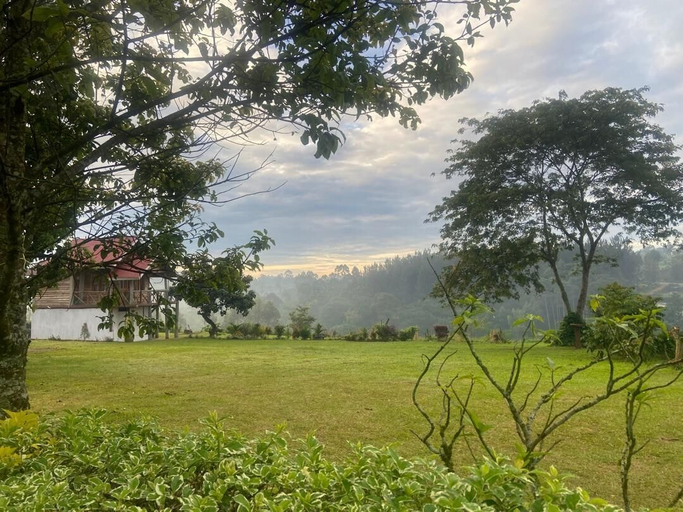 Property grounds 3, Nature Flows Eco-farm Cottage & campsite, Burahya