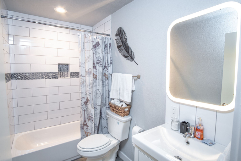 Bathroom 5, Stylish 4 Br/2ba Renovated Home Near Downtown, Bexar