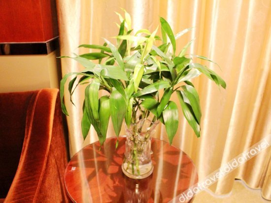 Others 3, Yu Peng Hotel, Nanjing