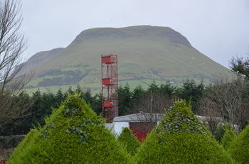 Others 5, Glendale Guestrooms, Causeway Coast and Glens
