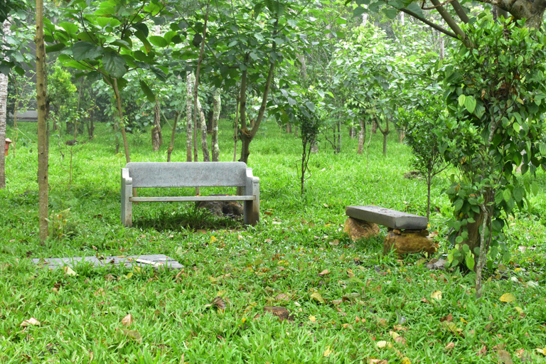Others 4, Queens Hotel - Yellow Lake Resorts & Spa- Yercaud, Salem