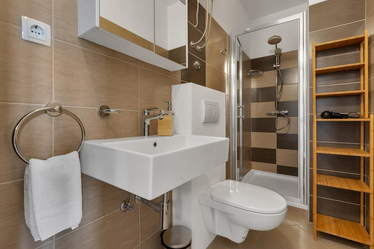 Bathroom 3, Apartments Barbaric, Gradac