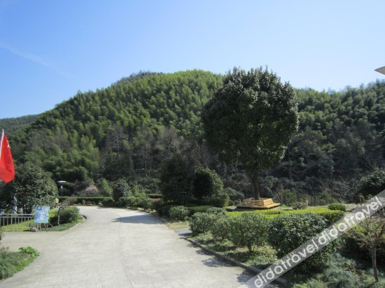 Others 4, moshemeisu, Huangshan