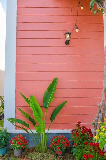 4, Pink Villa - Novaworld Phan Thiet, Phan Thiết