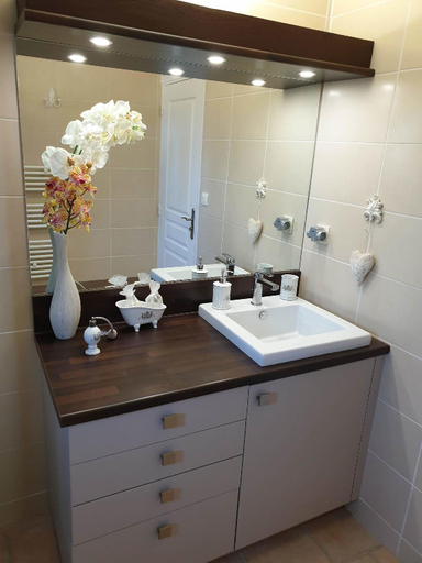 Bathroom 4, Aigues Marines, Gard