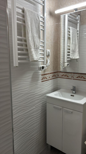 Bathroom 3, Hostal Conchita, Madrid
