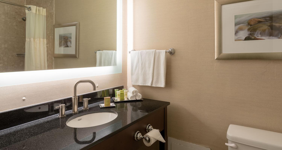 Bathroom 4, Saint John Harbourfront Hotel, Saint John