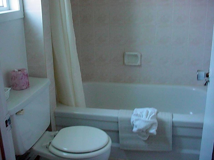Bathroom 4, Blue Moon Motel, Niagara