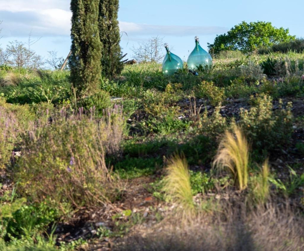 Others 4, PaterMater b&b in South Tuscany Luna Room, Grosseto