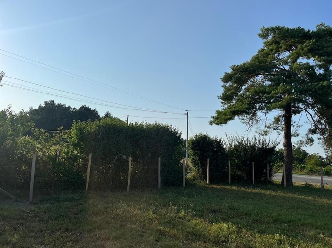 Property grounds, Gite du pin, Gironde