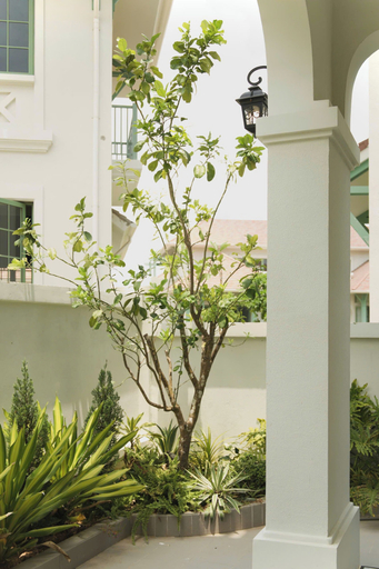 Exterior detail 2, V120 The Signature Tropical Villa, Phú Quốc