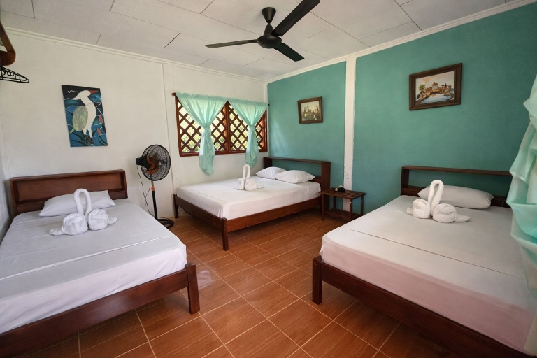 Room 5, Ilan Ilan tortuguero, Pococí