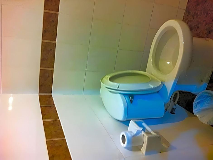 Bathroom 4, Orchid Place, Khlong Toey