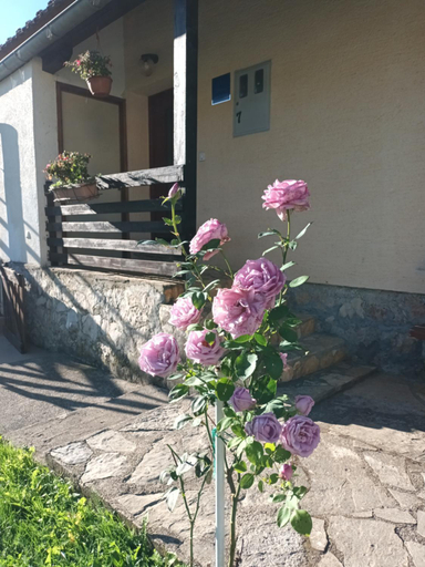 Exterior & Views, Guesthouse Loncar, Plitvička Jezera