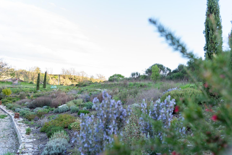 Others 1, PaterMater b&b in South Tuscany Luna Room, Grosseto