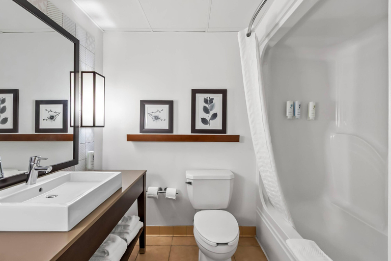 Bathroom 4, Country Inn & Suites by Radisson, Aiken South, Aiken