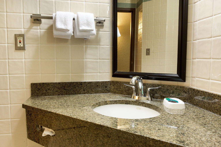Bathroom, Drury Inn Suites San Antonio Riverwalk, Bexar
