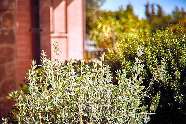 Exterior & Views 2, Piccolo Hotel La Valle, Siena