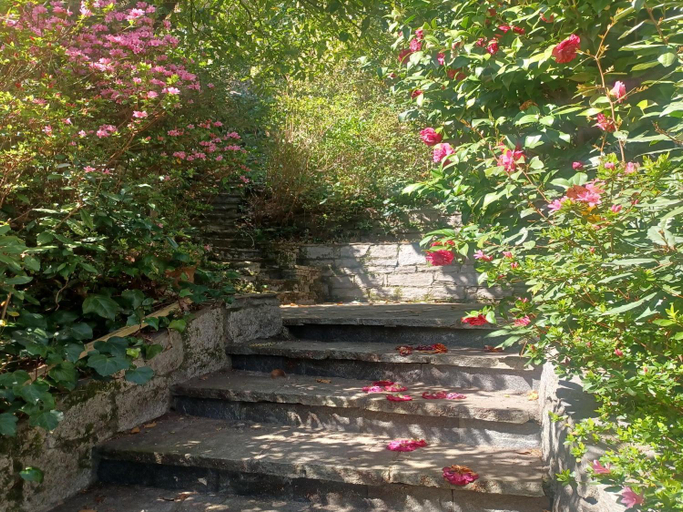 Garden, Villa in Valdora with Lake Maggiore Views, Verbano-Cusio-Ossola