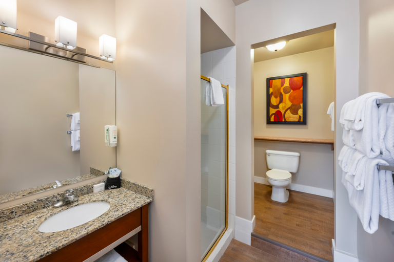Bathroom 5, Quality Inn & Suites Downtown Vancouver, Greater Vancouver