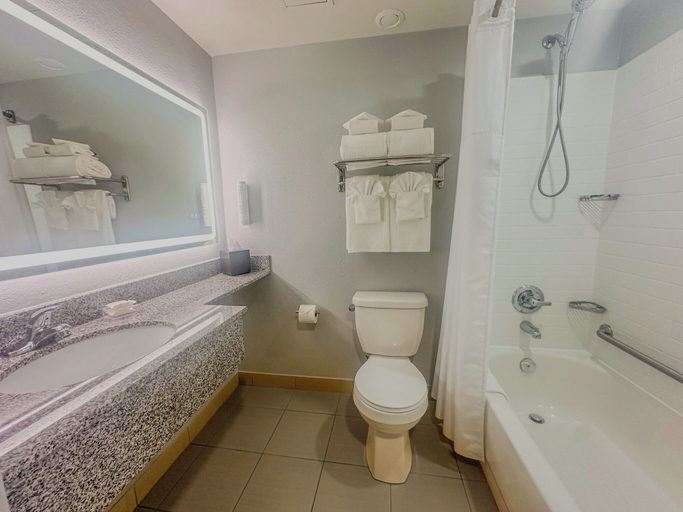 Bathroom 4, Clarion Pointe, Division No. 11