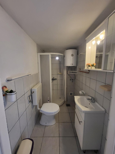 Bathroom 3, Guesthouse Loncar, Plitvička Jezera
