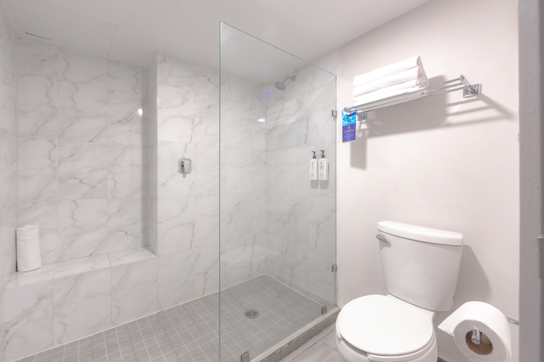 Bathroom, Comfort Inn Hermosillo Pitic, Hermosillo