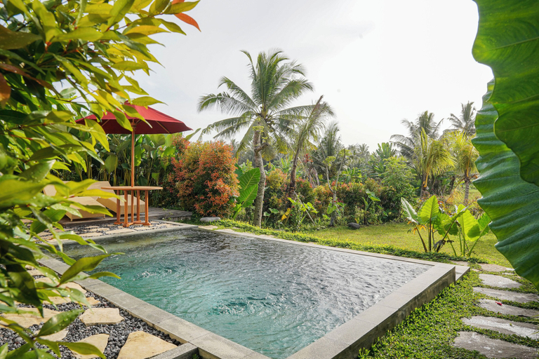 Pool 4, DENAYA UBUD VILLA, Gianyar