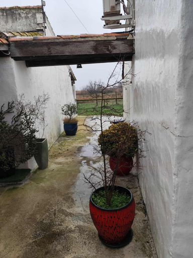 Property grounds 3, L'Oustau des Palunettes, Bouches-du-Rhône