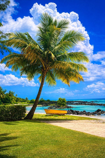 Beach 5, Black Reef Apartments