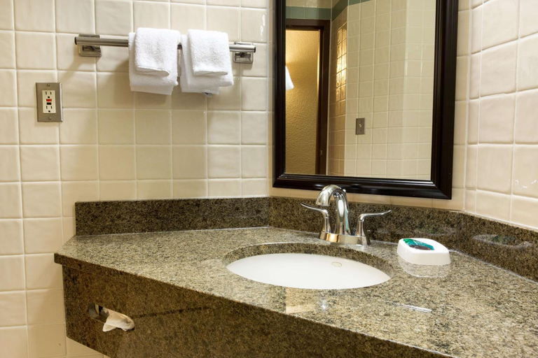 Bathroom 4, Drury Inn Suites San Antonio Riverwalk, Bexar