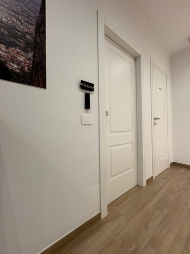 Room 2, Domus Matronae, Napoli