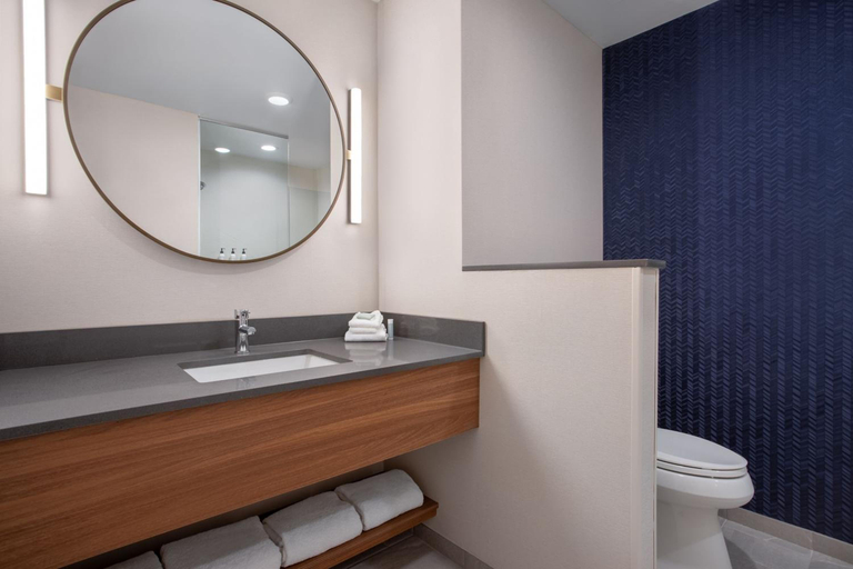 Bathroom 3, Fairfield Inn & Suites Indianapolis Plainfield, Hendricks