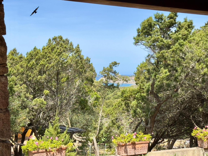 Others 5, Villa indipendente, Rena Majore, Olbia-Tempio