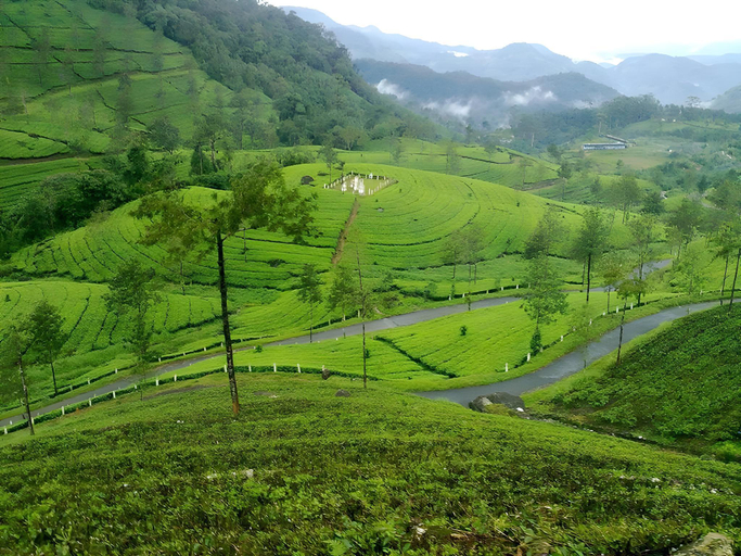 Public Area 3, Wild Elephant Eco-Friendly Resort, Idukki