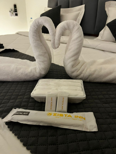 Room 3, Zista Inn, Raigarh