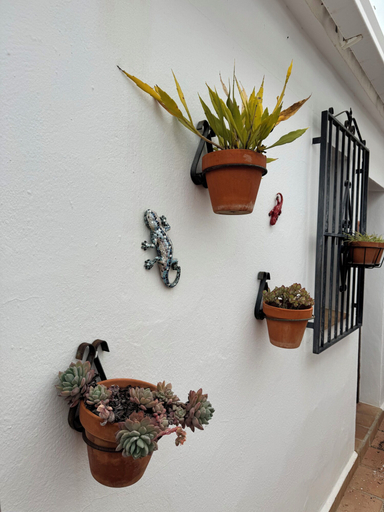 Exterior detail, Casa Azafranes Boutique B&B, Málaga