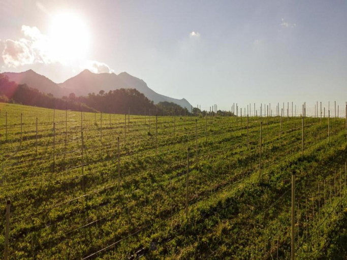 Others 3, Villa in Cagli with Pool Scenic Trails, Pesaro E Urbino